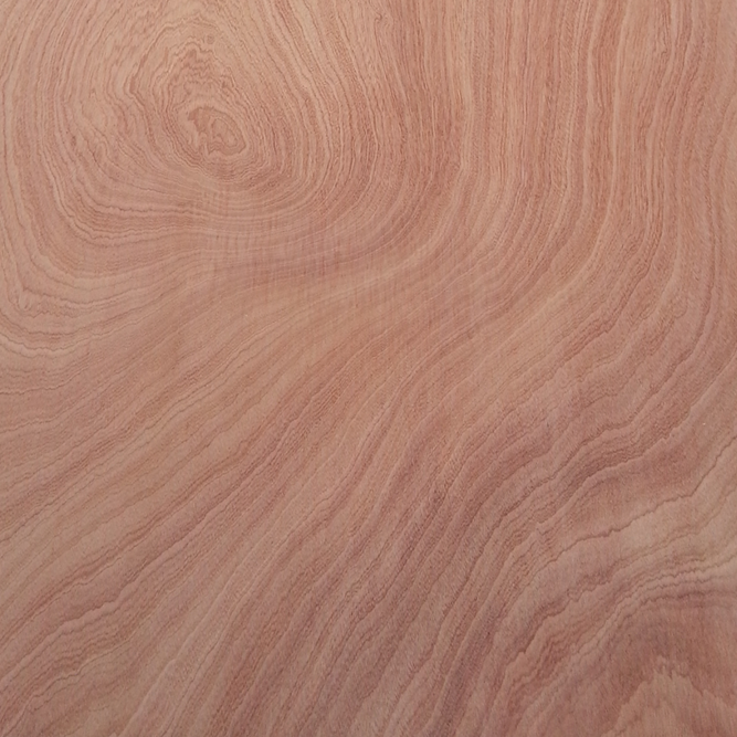 Nature veneer MDF